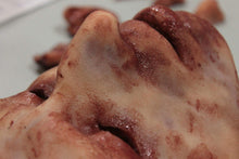 Load image into Gallery viewer, Max - Silicone Skinned Horror Face Mask