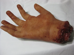 Clara - Severed Silicone Hand Prop