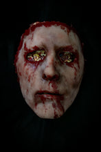 Load image into Gallery viewer, Ready to Ship - Brian Mask