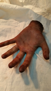 Clara - Severed Silicone Hand Prop