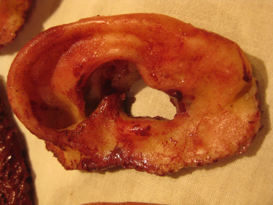 Severed Ear - Silicone Prop